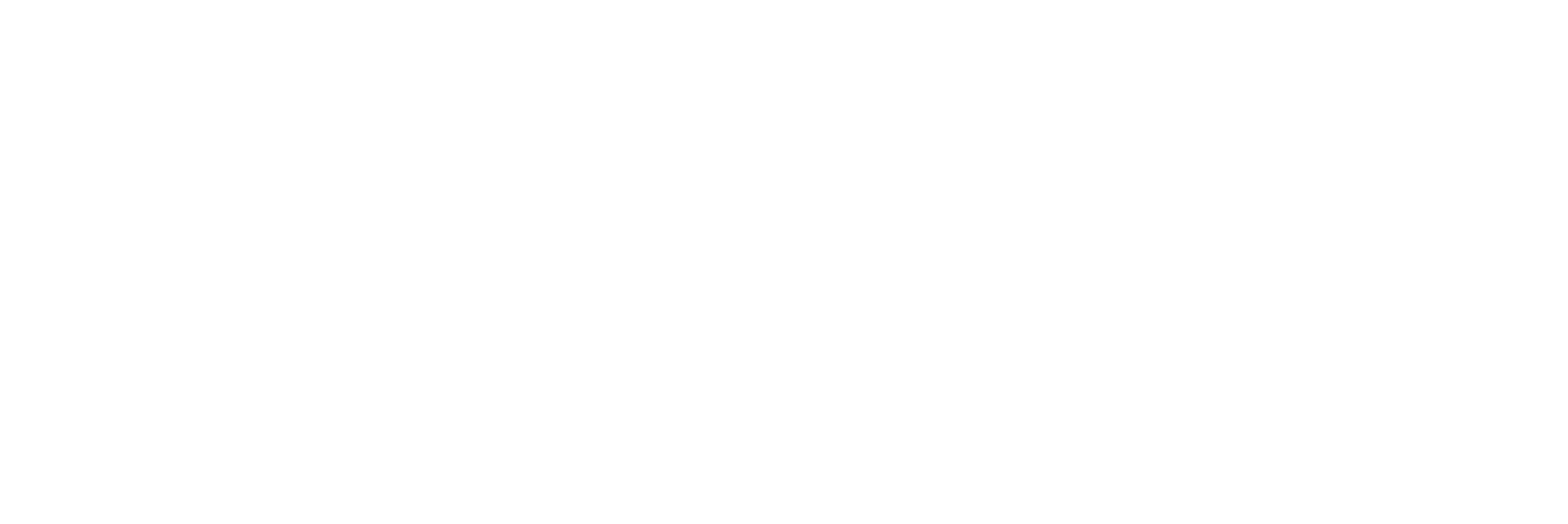 Filgueiras e Pernanchini Law Office - Logotipo - v02 - Transparente_02